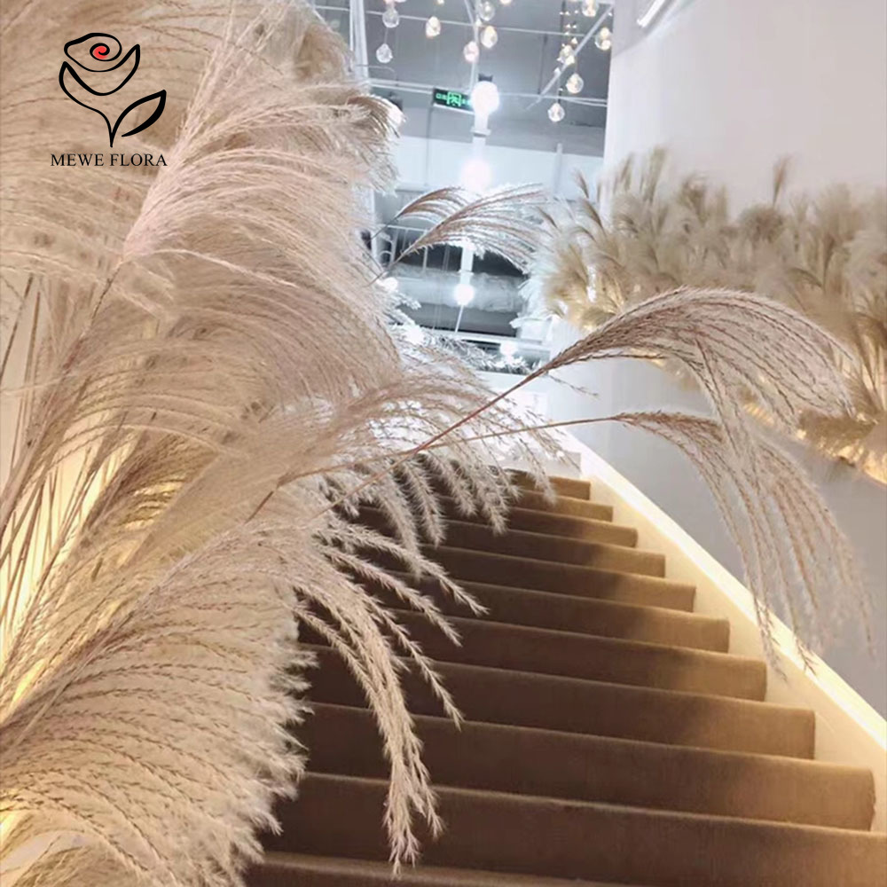 200 STKS Natuurlijke Gedroogde - Pampas Grass Decor recensie en prijs
