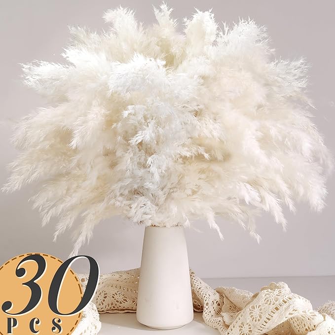 30 stuks wit pampasgras voor t - Pampas Grass Decor recensie en prijs
