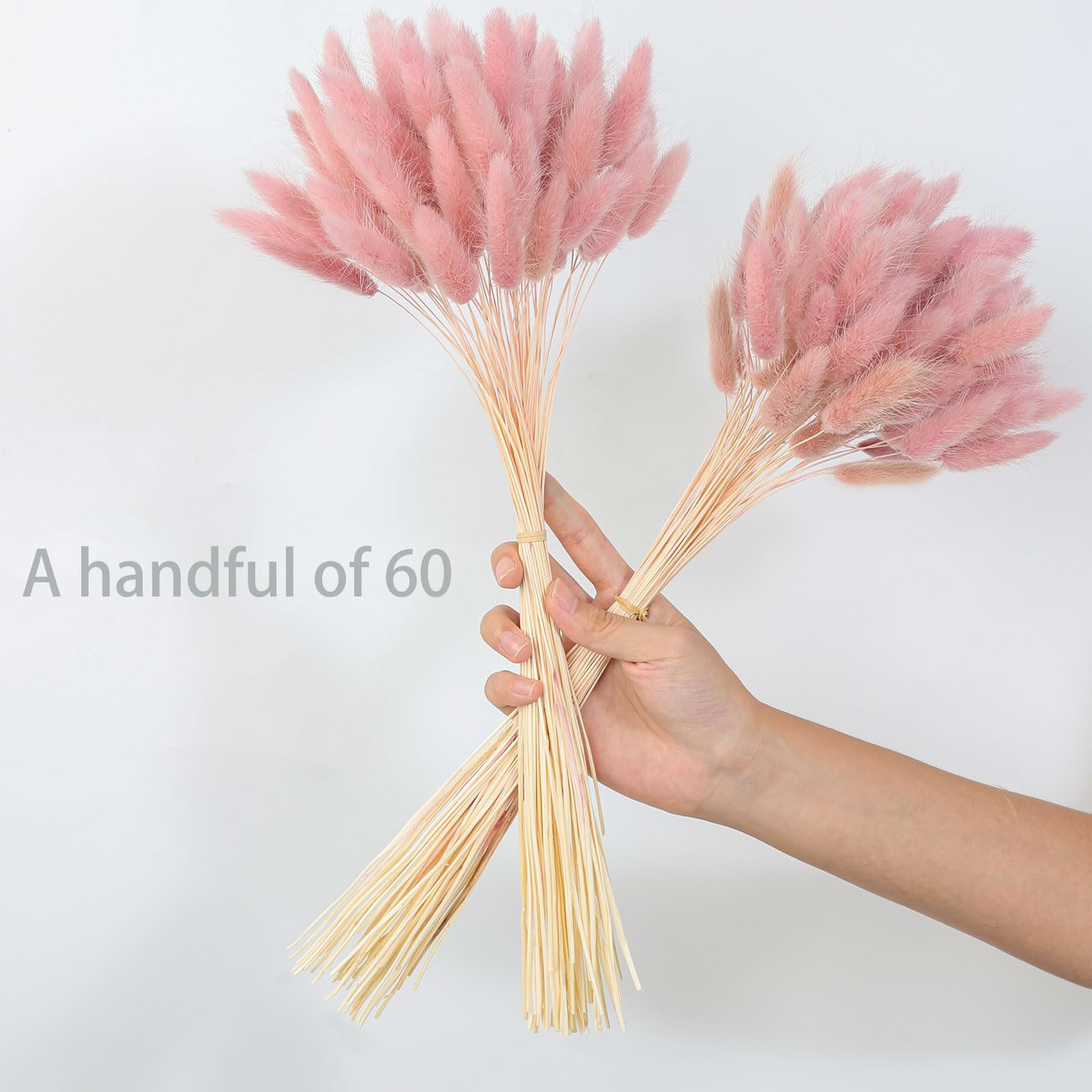 120-steel roze gedroogde pampa - Pampas Grass Decor recensie en prijs