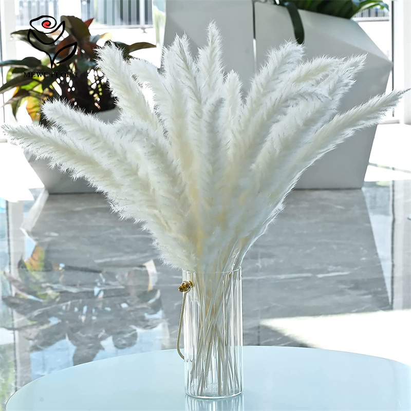 18 Stengels Natuurlijke Gedroo - Pampas Grass Decor recensie en prijs