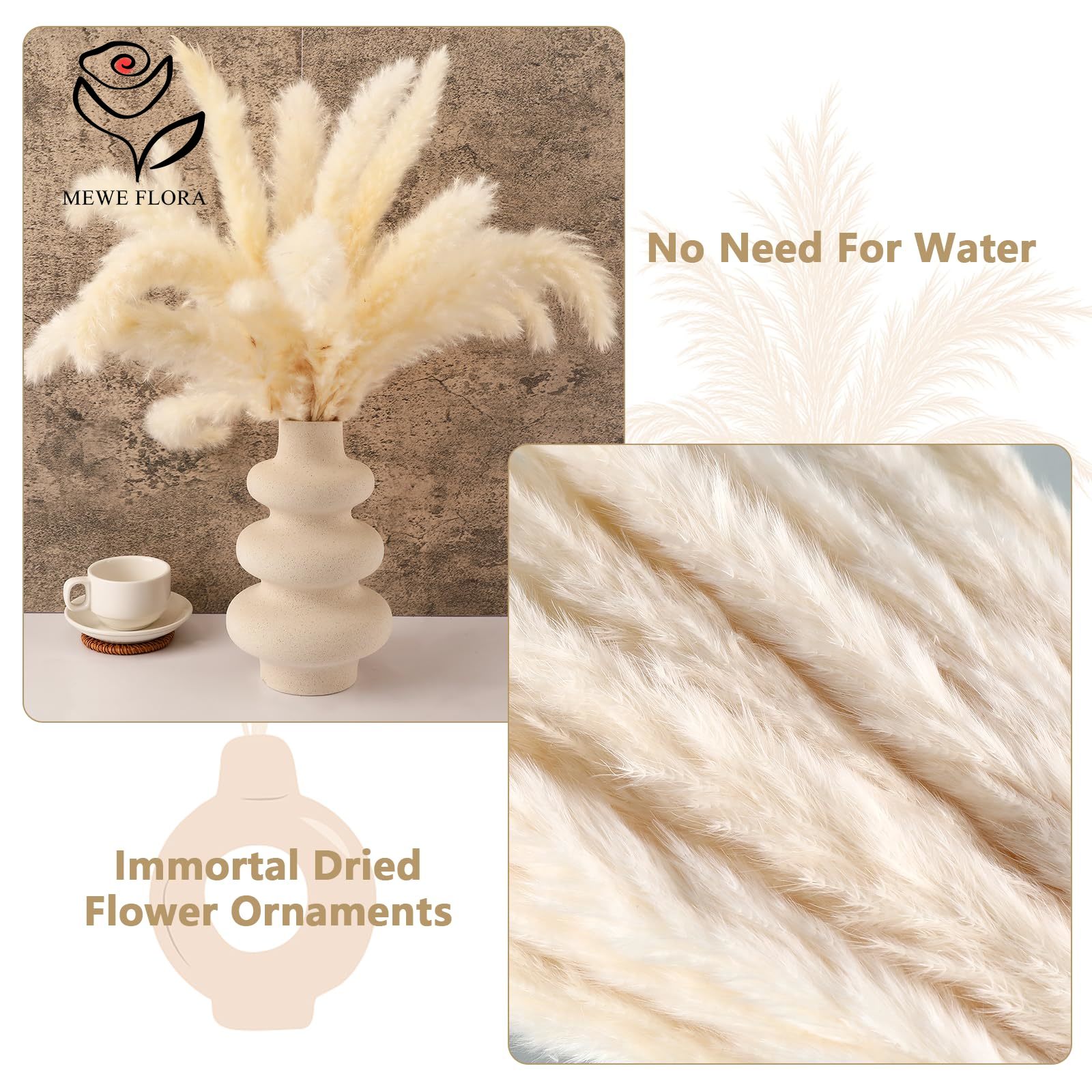 18 Stengels Natuurlijke Gedroo - Pampas Grass Decor recensie en prijs
