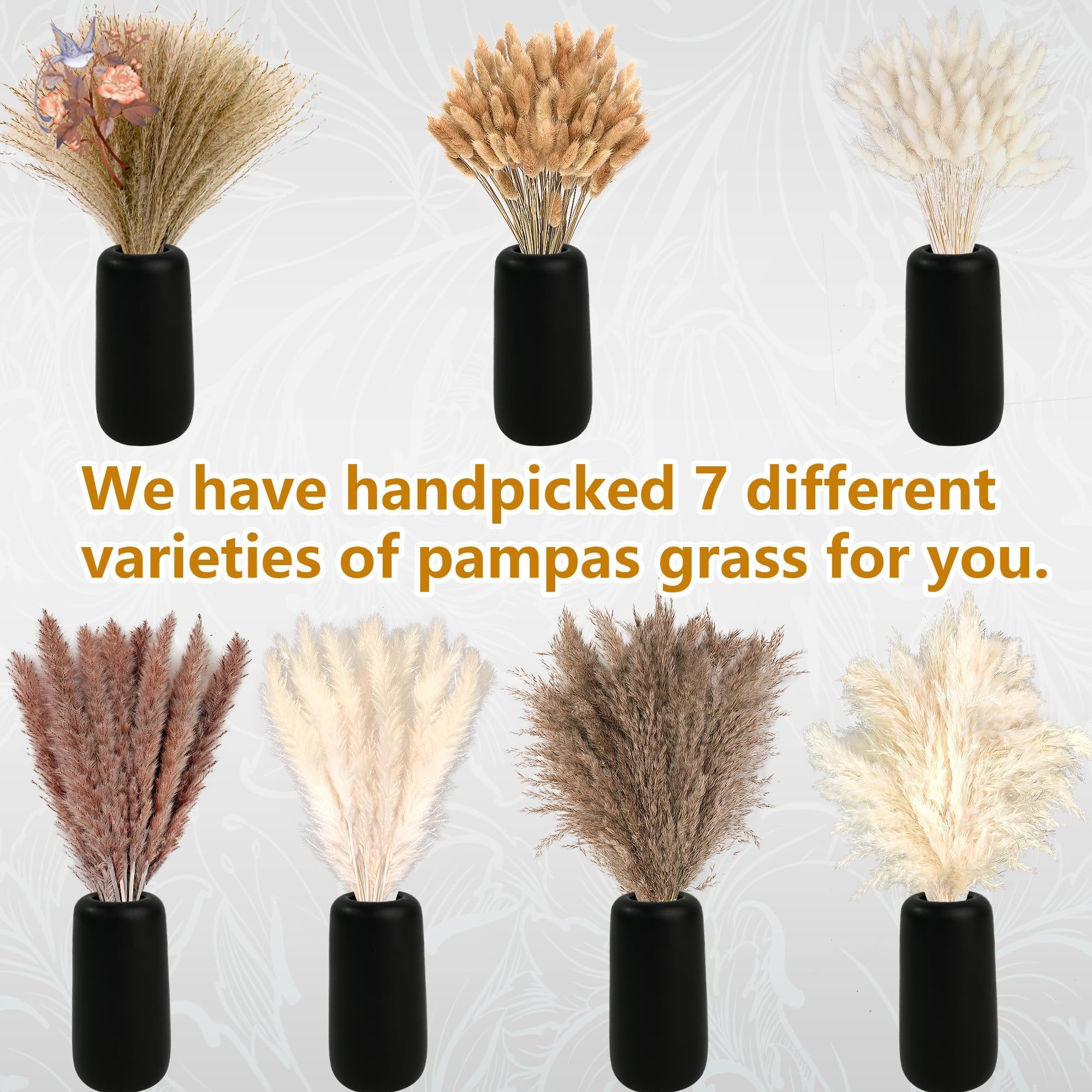 300 stuks natuurlijke grote pa - Pampas Grass Decor recensie en prijs