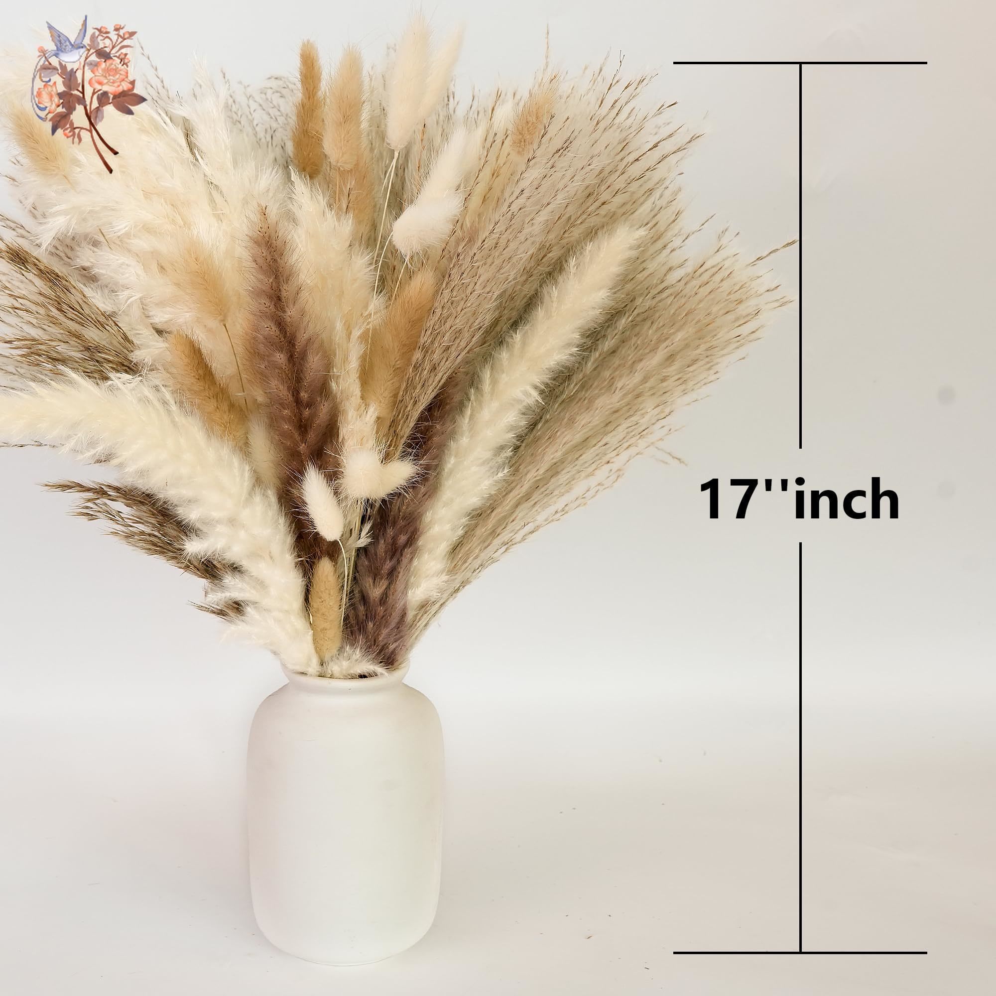 300 stuks natuurlijke grote pa - Pampas Grass Decor recensie en prijs