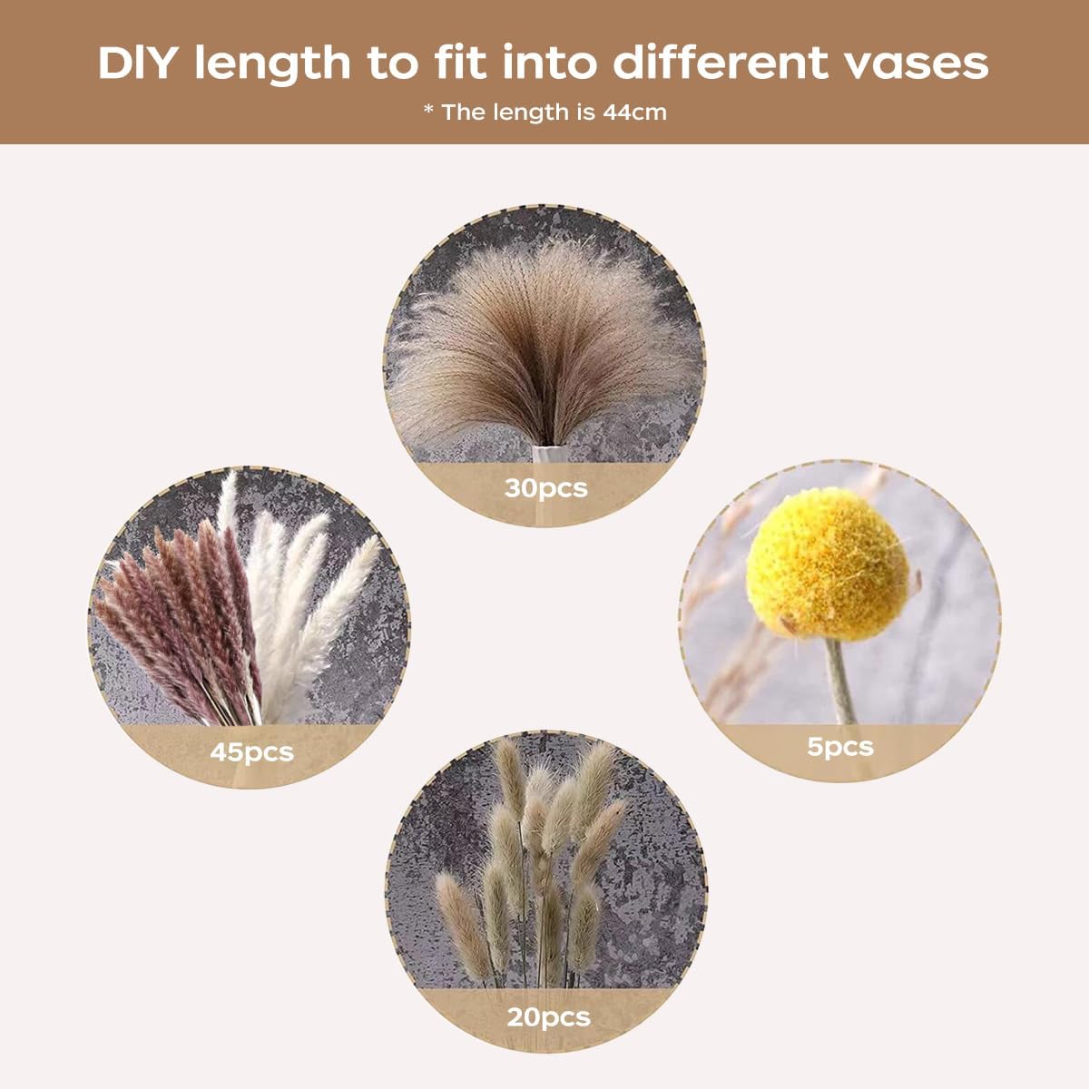 Gedroogd Pampasgras Bouquet Na - Pampas Grass Decor recensie en prijs