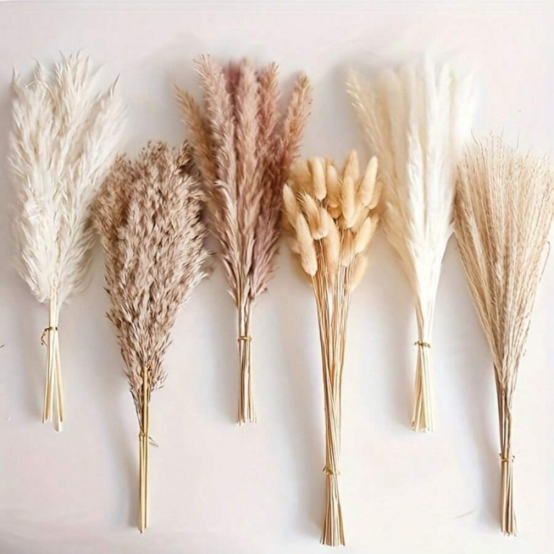 110 stuks gedroogd pampasgrasb - Pampas Grass Decor recensie en prijs