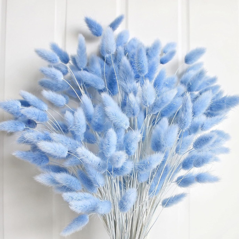 100 STKS Blauw Haas-staart Gra - Pampas Grass Decor recensie en prijs