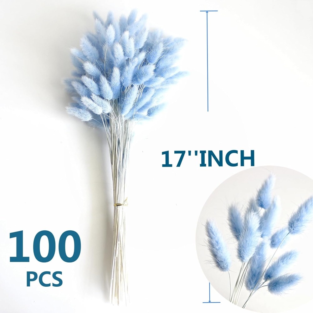 100 STKS Blauw Haas-staart Gra - Pampas Grass Decor recensie en prijs