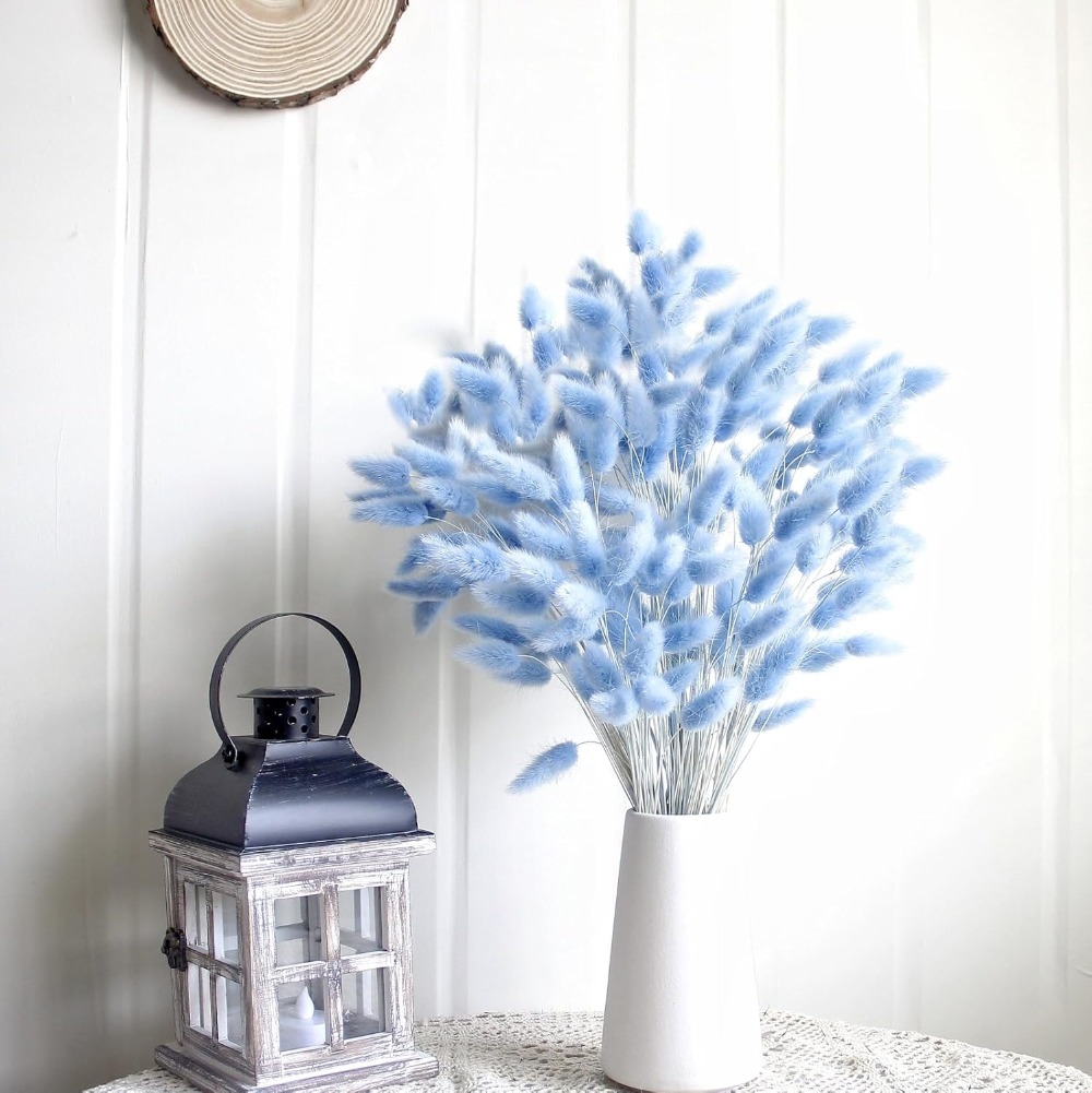 100 STKS Blauw Haas-staart Gra - Pampas Grass Decor recensie en prijs