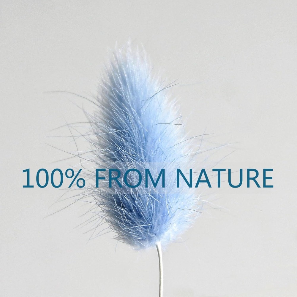 100 STKS Blauw Haas-staart Gra - Pampas Grass Decor recensie en prijs